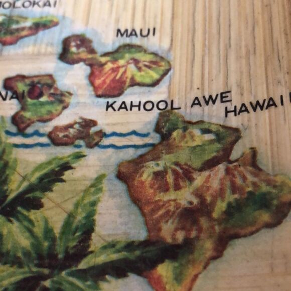 Hawaiian 🌺 Islands 🏝 Handpainted Palm 🌴 Frond Plate 70s vibrant retro vibe - Picture 13 of 17